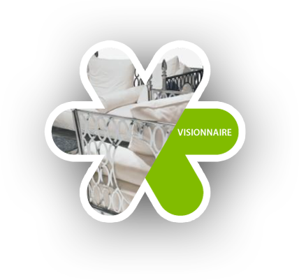 Visionnaire